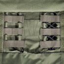 Plate Carrier MKIV Tasmanian Tiger Oliv S/M