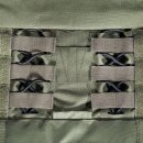 Plate Carrier MKIV Tasmanian Tiger Oliv L/XL