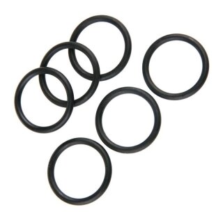 Dichtung O-Ring SHS 19x2,5mm 6Stck f&uuml;r Piston Head DQ0033