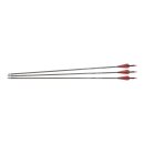 Pfeil Bogen Carbon 30&quot; NXG Spine 350 1Stck mit...